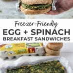 Make a Perfect Breakfast Sandwich With This Viral Device – LifeSavvy