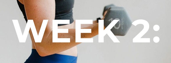 30 day home workout plan | week 2