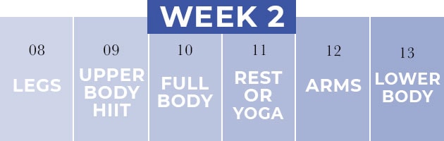 weekly gym workout plan