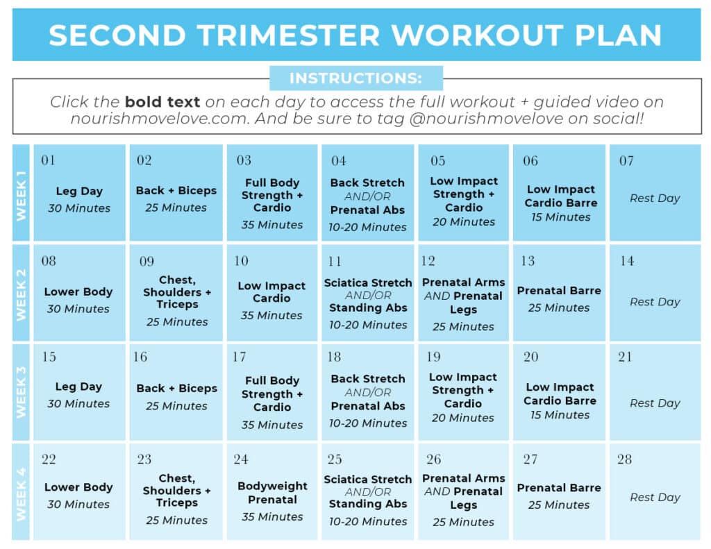 Second Trimester Pregnancy Exercise Workout