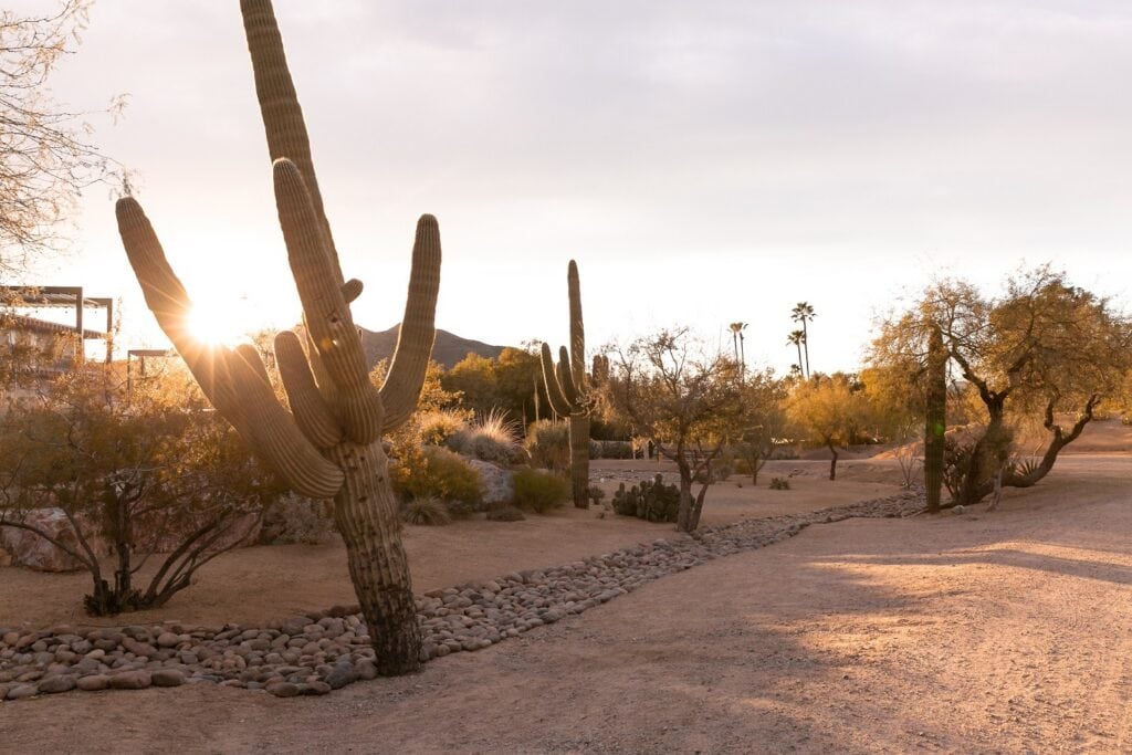 desert landscape at civana wellness resort